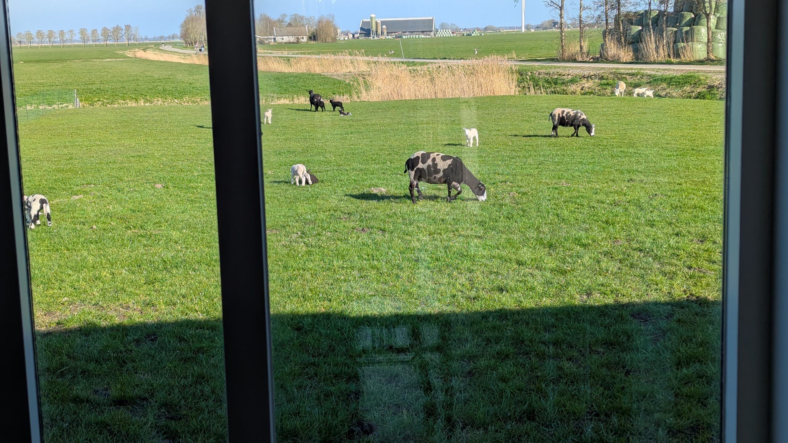 rustpunt_uitzicht